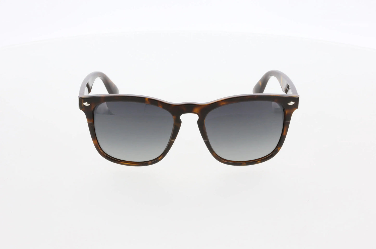 Hawk 2184 02  Sunglasses